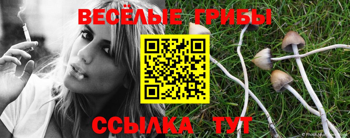 Псилоцибиновые грибы MAGIC MUSHROOMS Кореновск