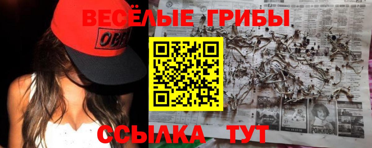 Галлюциногенные грибы мицелий  Псилоцибиновые грибы Psilocybe  Вход с VPN  цены   Кореновск 